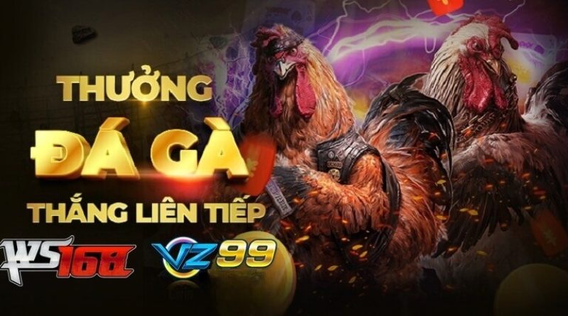 Đá gà WS168 VZ99 và lý do nên tham gia cá cược tại nhà cái