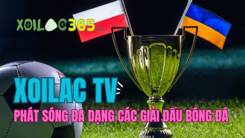 Đa dạng các giải đấu