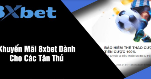 Các Khuyến Mãi Cho Người Chơi Mới Tại 8xbet