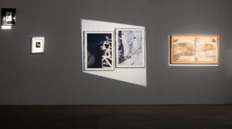 Ảnh Triển Lãm – Bộ Sưu Tập Hình Ảnh Nghệ Thuật Đầy Cảm Hứng