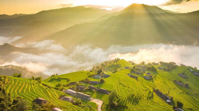 Ảnh Ghép – Nghệ Thuật Sáng Tạo Và Xu Hướng Thiết Kế Năm 2025