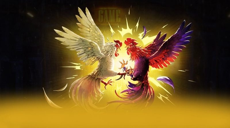 Trải nghiệm đá gà C168 – Kịch tính từng phút, cuốn hút từng ván